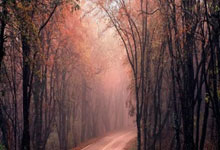 [国]U17亚洲杯预选赛：巴林0-2中国 集锦.