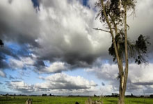 九游会体育：2-0！横扫世界第11，翁泓阳剑指赛季首冠，决赛欲为李诗沣复仇！.